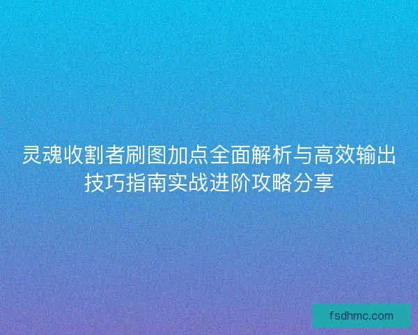 灵魂收割者刷图加点全面解析与高效输出技巧指南实战进阶攻略分享